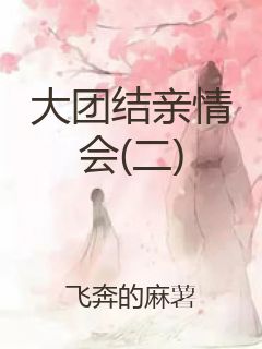 大团结亲情会(二)封面
