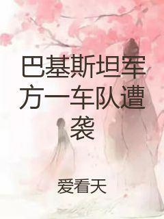 巴基斯坦军方一车队遭袭封面