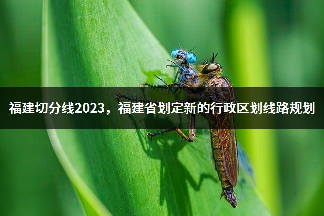 福建切分线2023，福建省划定新的行政区划线路规划-1