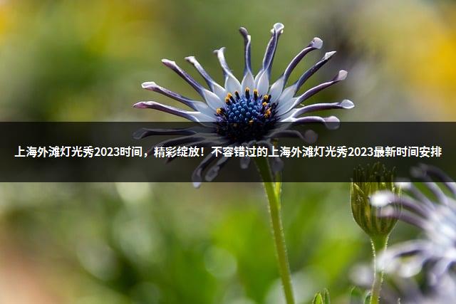 上海外滩灯光秀2023时间，精彩绽放！不容错过的上海外滩灯光秀2023最新时间安排-1