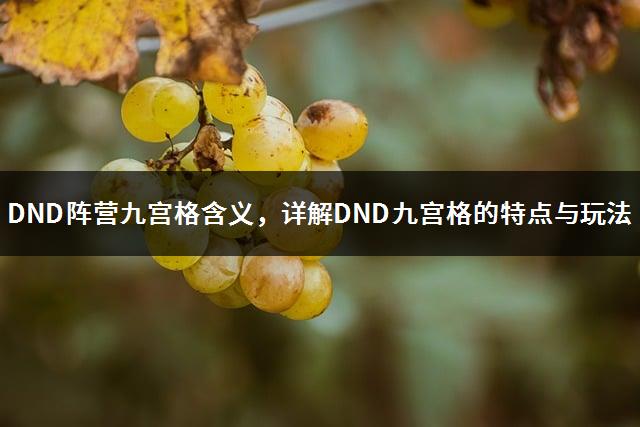 DND阵营九宫格含义，详解DND九宫格的特点与玩法-1