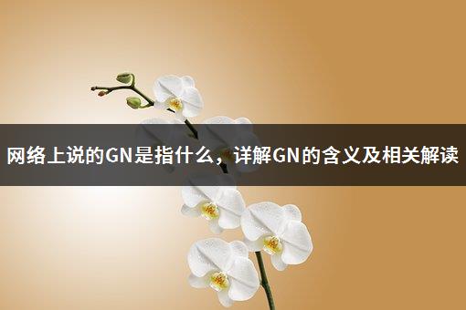 网络上说的GN是指什么，详解GN的含义及相关解读-1
