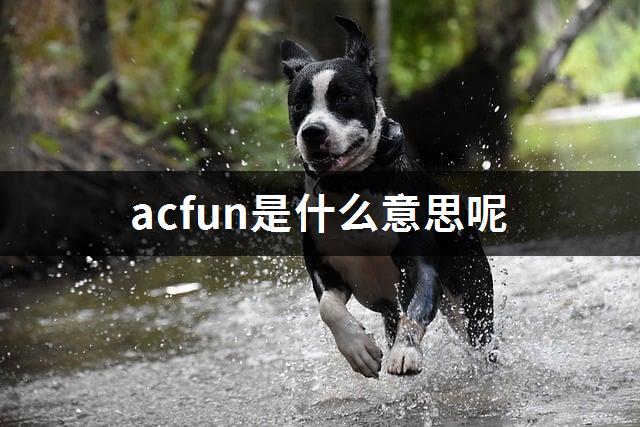 acfun是什么意思呢-1
