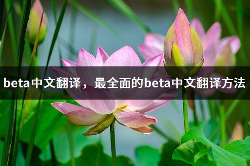 beta中文翻译，最全面的beta中文翻译方法-1