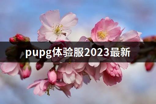 pupg体验服2023最新-1