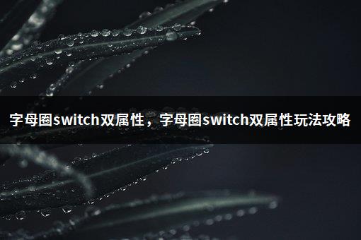 字母圈switch双属性，字母圈switch双属性玩法攻略-1