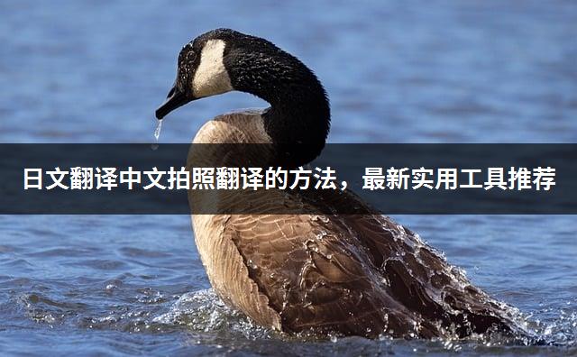 日文翻译中文拍照翻译的方法，最新实用工具推荐-1